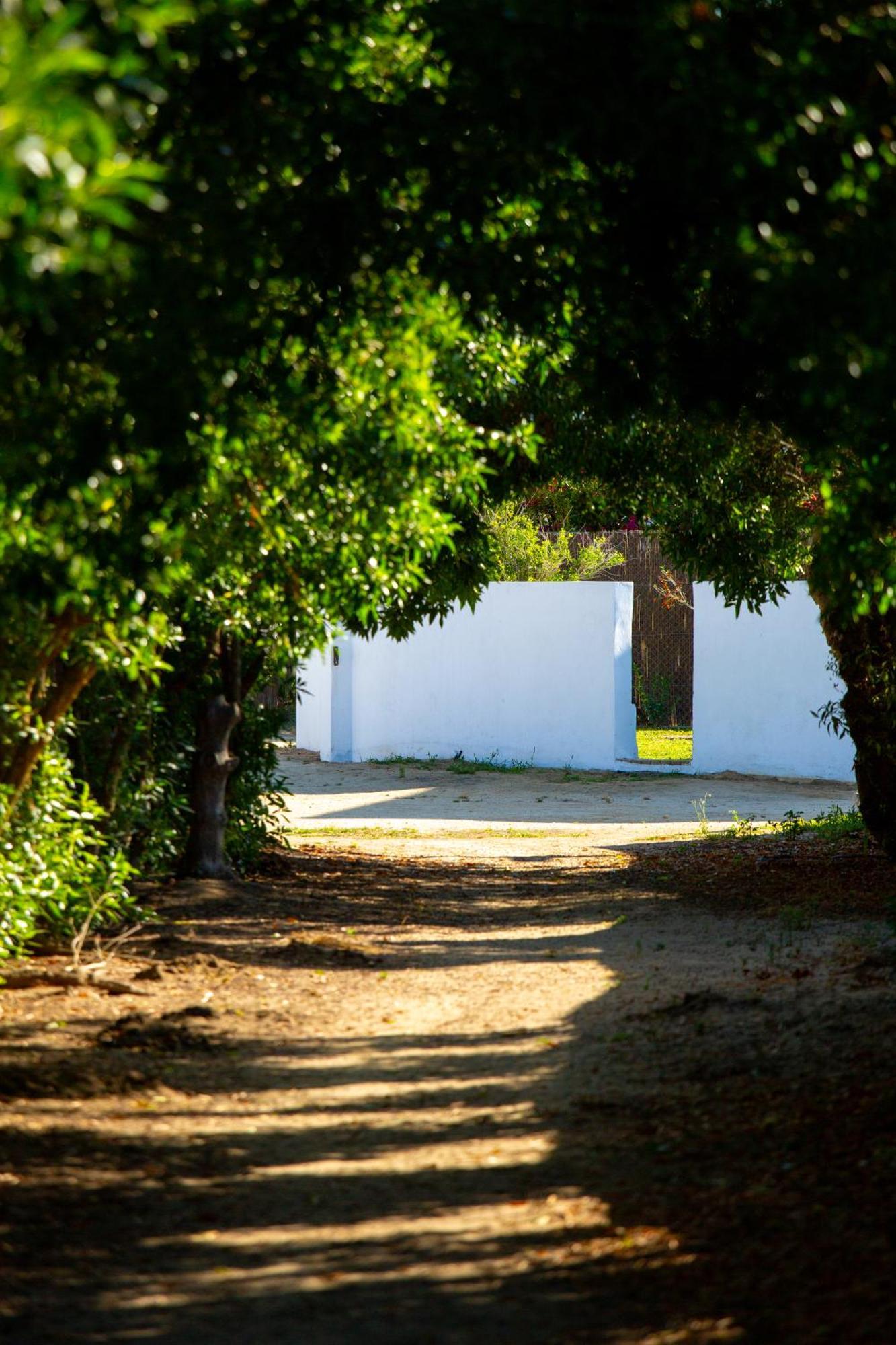 Casara Tres - 2 Dormitorios - Jardin Y Acceso Privado A La Playa Zahora Extérieur photo